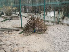 -南京金牛湖风景区