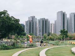 -牛岗山公园