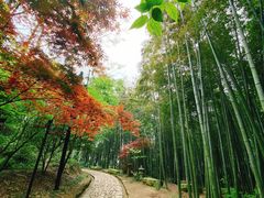 -径山寺