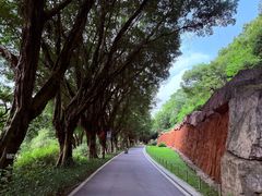 -广州雕塑公园