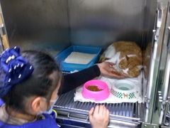 -康乐宝动物医院