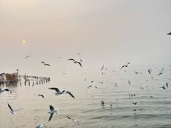 -缥缈峰景区