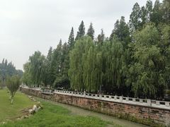 -温江公园