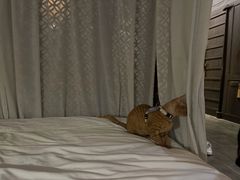 -法云安缦酒店