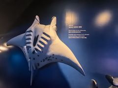 -新加坡海洋生态馆