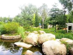 -大连罗马假日酒店温泉