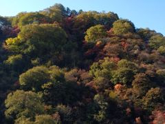 -少华山国家森林公园
