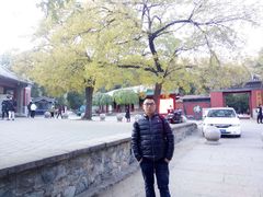 -香山公园-东宫门售票处