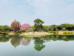 -四海公园(南山区)