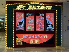 -鹏欣水游城