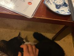 -樱の花亭日本料理店