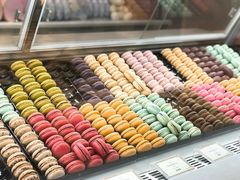 -DORABELLA朵娜贝拉(武林银泰店)