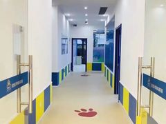 -贝乐少儿英语·全外教(滨江中心)