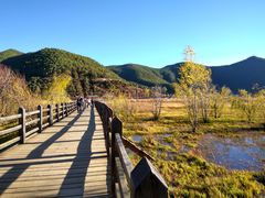 -泸沽湖国家级风景名胜区走婚桥