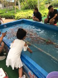 -萌宠亲子动物乐园(槐房万达店)