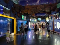 -烟台海昌鲸鲨海洋公园