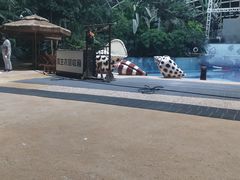 -麦积山温泉