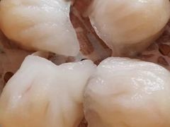 -点多多•广式茶点(龙华店)