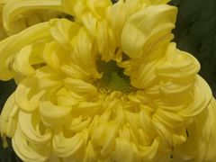 -小榄公饭店(西区彩虹店)