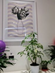 点击看大图 -SILKTONE诗丽堂美容