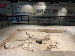 -洛阳周王城天子驾六博物馆