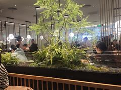 -绿茶餐厅(滨海万达广场店)