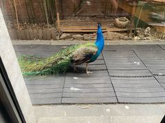 -春记潮汕牛肉火锅