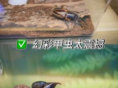 -正佳雨林生态植物园