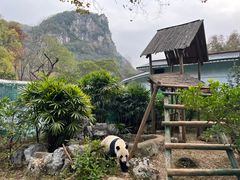 -柳州市动物园