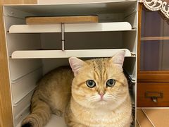 -萌兽医馆·眼科·异宠专科(三里屯店)