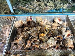 -77号渔船·蒸海鲜青岛菜(积米崖店)