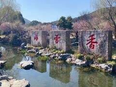 -香雪海