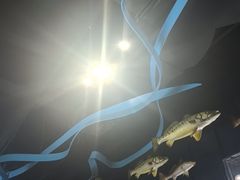 -同济大学四平路校区深海探索馆