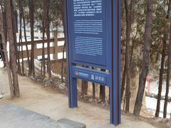 -延安杨家岭革命旧址