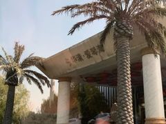 -西安国际创新人才交流中心•药浴温泉