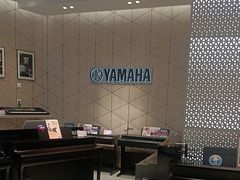 -知音艺术教育培训·钢琴培训·音乐培训(河西金鹰世界校区)