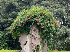 -尚湖风景区