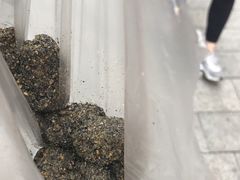 -叶氏麻糍(鼓浪屿店)