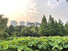 -沐仙湖湿地公园