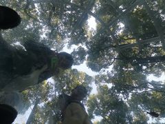 -同里国家湿地公园