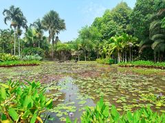 -中国科学院西双版纳热带植物园