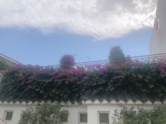 -桃园盛宴·岭南粤菜·手工茶点(南庄店)