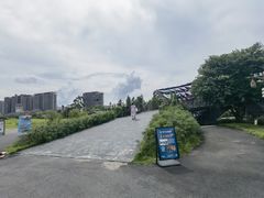 -江门古劳水乡旅游区