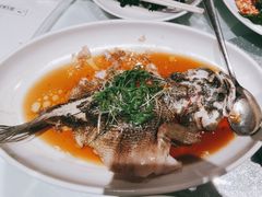 -九朝会昆曲·宴(望京店)
