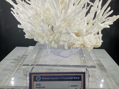 -中国地质大学逸夫博物馆