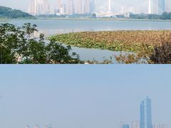 -古琴台