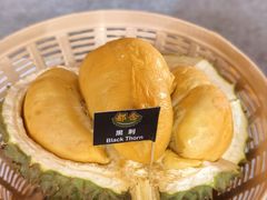 -都念榴莲·城市榴莲