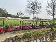 -长洲岛都市农业公园