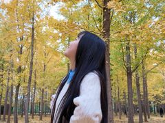 -汉景帝阳陵博物院