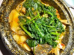 石锅臭鳜鱼-披云徽宴(石景山店)